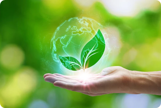 custom-boxes-eco-friendly